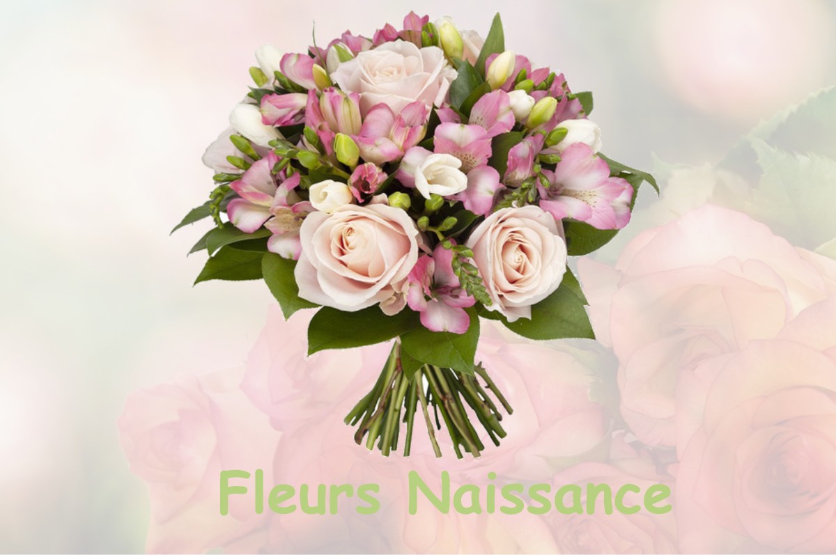 fleurs naissance CHATEAURENARD